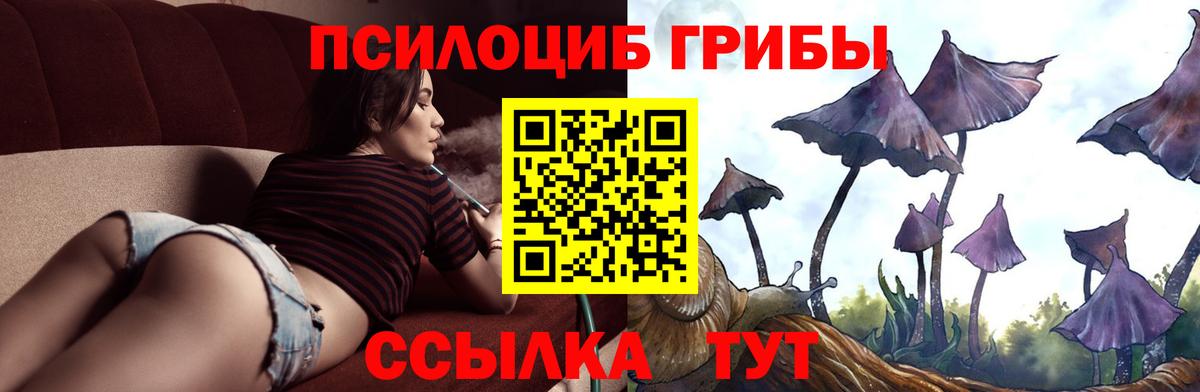 Анапа  Галлюциногенные грибы MAGIC MUSHROOMS  Псилоцибиновые грибы MAGIC MUSHROOMS  Вход с VPN 