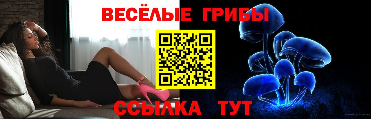 Псилоцибиновые грибы прущие грибы Анапа